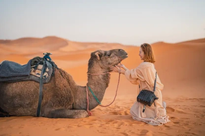 Turista cinese che tocca un cammello nel deserto del Sahara in Marocco, Viaggio in Marocco Turista cinese che tocca un cammello nel deserto del Sahara in Marocco, Viaggio in Marocco