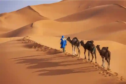 Giovani Tuareg con cammelli nel deserto del Sahara Occidentale, Deserto del sahara marocco Giovani Tuareg con cammelli nel deserto del Sahara Occidentale, Deserto del sahara marocco