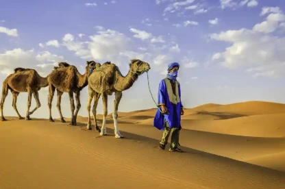 Giovani Tuareg con cammelli nel deserto del Sahara Occidentale in Africa, Zagora Marocco Giovani Tuareg con cammelli nel deserto del Sahara Occidentale in Africa, Zagora Marocco