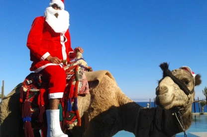 capodanno in egitto dove andare capodanno in egitto dove andare