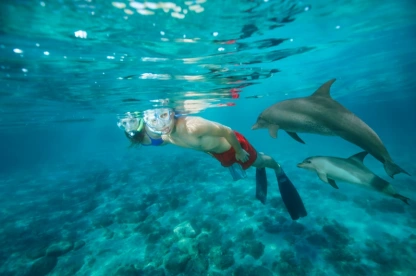 cose da vedere a marsa alam