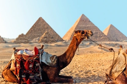 ¿Es seguro viajar a Egipto en 2025? Guía completa Camello descansando ante las Grandes Pirámides de Giza, Egipto, por la tarde.