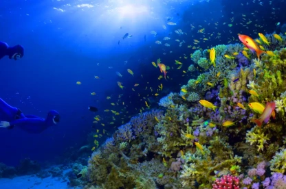 Berenice Egitto: Berenice Egitto: