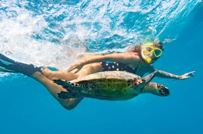 Barriera Corallina Egitto