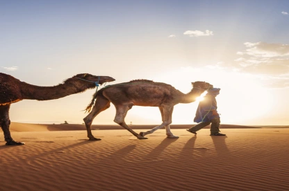 El Desierto del Sahara El Desierto del Sahara