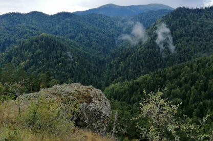 Las Montañas de Bolu Las Montañas de Bolu