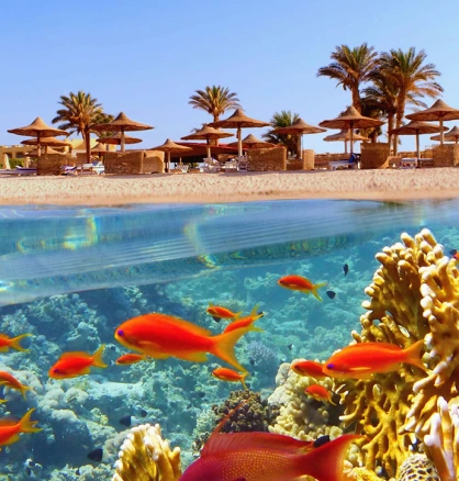 marsa alam 