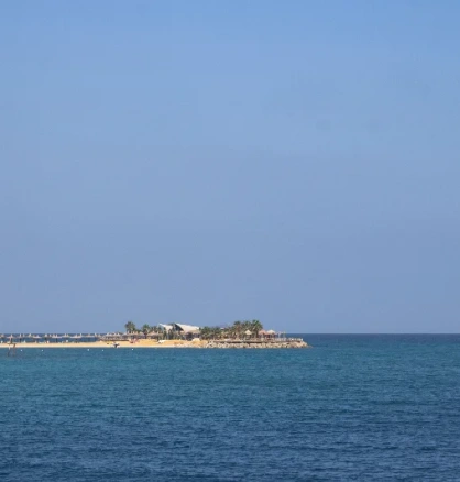 Tropischer Strandblick mit Palmen und klarem Meerwasser