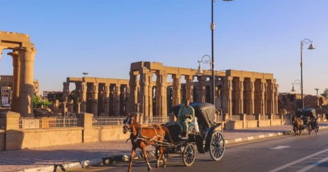 luxor city tour