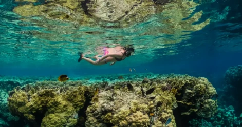 Sharm El Luli Snorkeling