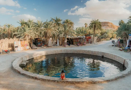 una donna a siwa , tour a marsa matrouh e siwa
