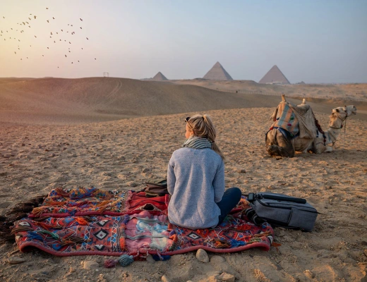 A group of people with wheelchair enjoys an Accessible tour in egypt, Accessible Alexandria Abu Simbel Tour