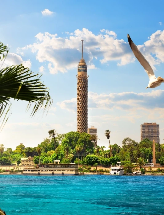 Torre Del Cairo | La Torre Del Cairo