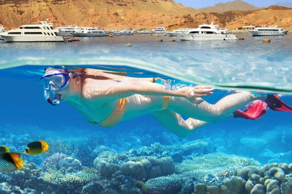 Das Beste von Sharm El Sheikh