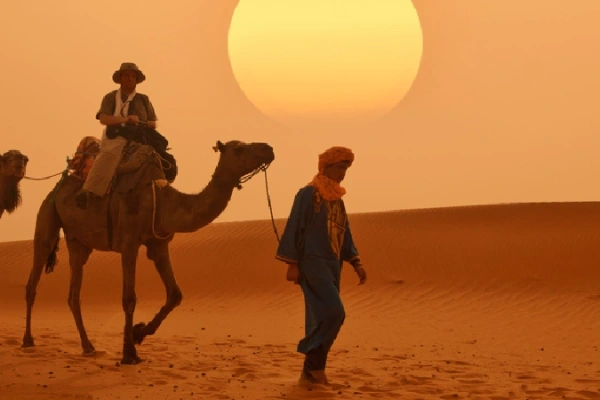 Kamelkarawane in der Sahara.