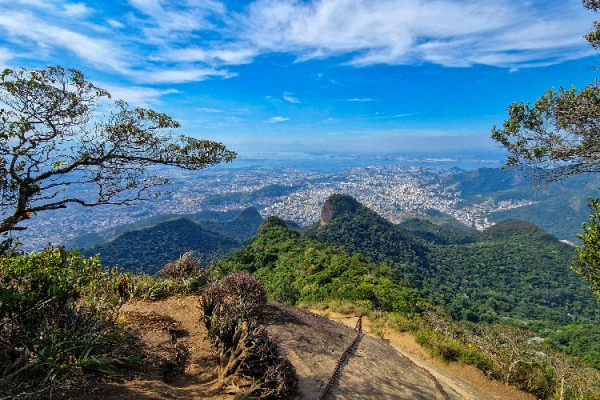 Tijuca Forest