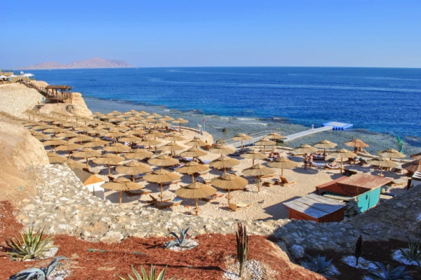 Sahl Hasheesh