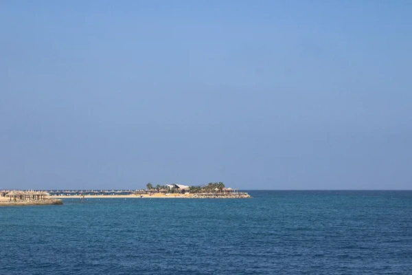 Tropischer Strandblick mit Palmen und klarem Meerwasser