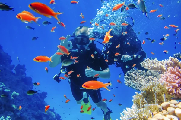 Immersioni alle barriere coralline alla Città di Marsa Alam.