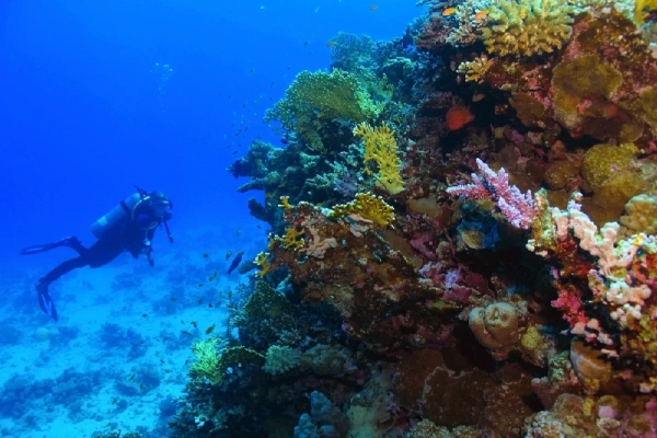 Porti sul Mar Rosso, il mare di Safaga