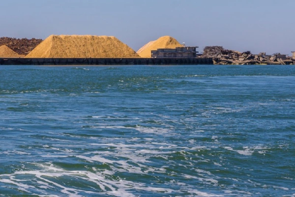 Statua egiziana, il mare di minya