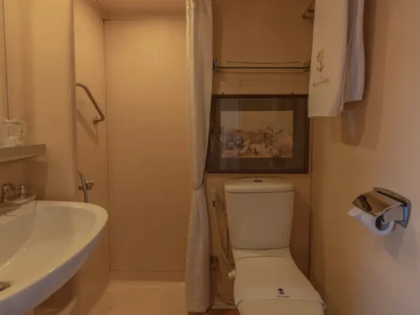 Badezimmer einer Kabine an Bord der MS Salacia