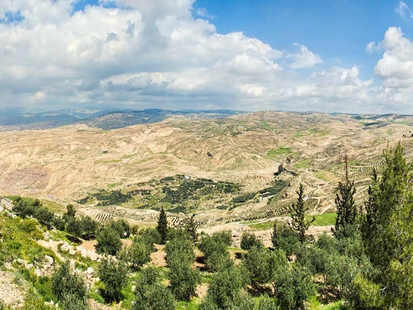 Blick vom Berg Nebo über das Jordantal in Jordanien