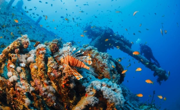 Clear Red Sea water and coral reefs at Ras Mohammed National Park near Sharm El Sheikh