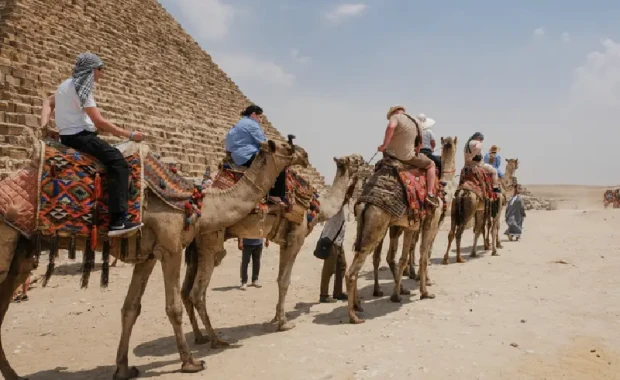 Caravana turística de camellos en la zona de las Pirámides de Guiza, El Cairo , Viajes Organizados a Egipto