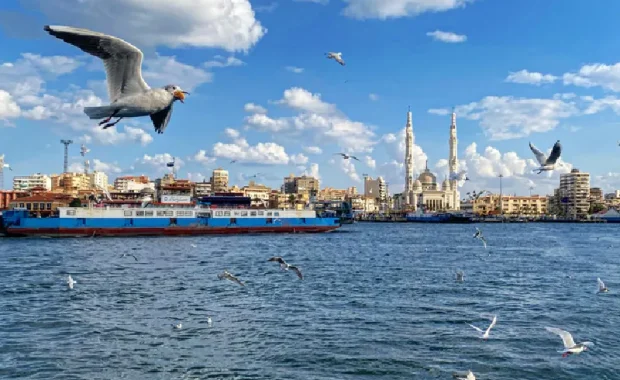 Gaviotas y la Mezquita de Port Said , El mejor viaje organizado a Egipto