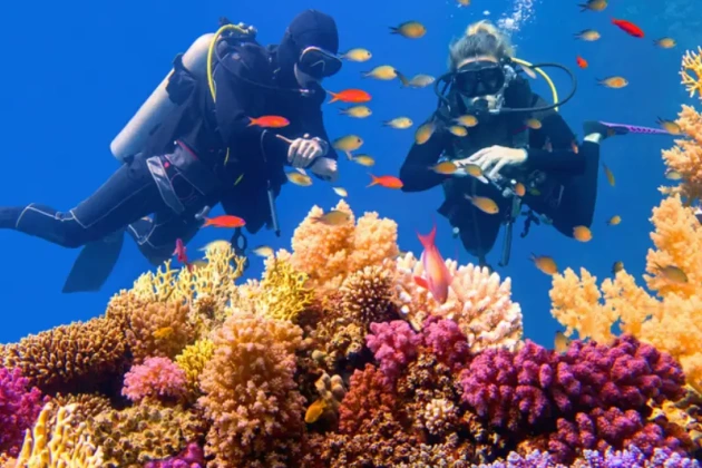 due persone che fanno snorkelling, viaggi pasqua egitto