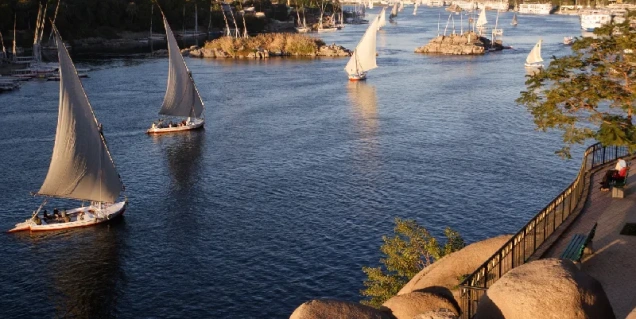 Que faire à Assouan : felouques sur le Nil devant les îles d'Assouan