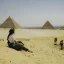 Pasqua offerte in Egitto, una donna davanti alle tre piramidi di Giza