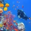 Luxor Marsa Alam | Marsa Alam Luxor | Tour Egitto