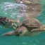 Luxor Marsa Alam | Marsa Alam Luxor | Tour Egitto