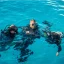 snorkeling a Sharm el-Sheikh