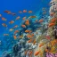marsa alam egitto