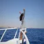 una turista a sharm el shiekh