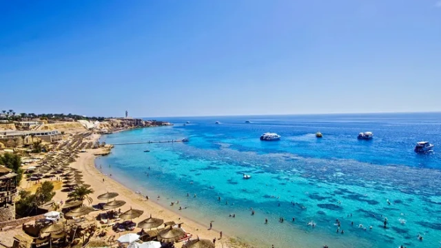 Snorkeling in redsea Sharm El Sheikh, Cairo Nile Cruise Red sea