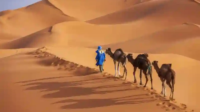 Giovani Tuareg con cammelli nel deserto del Sahara Occidentale, Deserto del sahara marocco