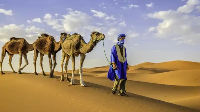 Giovani Tuareg con cammelli nel deserto del Sahara Occidentale in Africa, Zagora Marocco