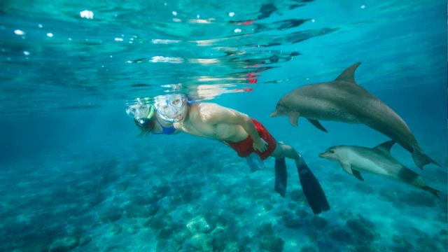 cose da vedere a marsa alam