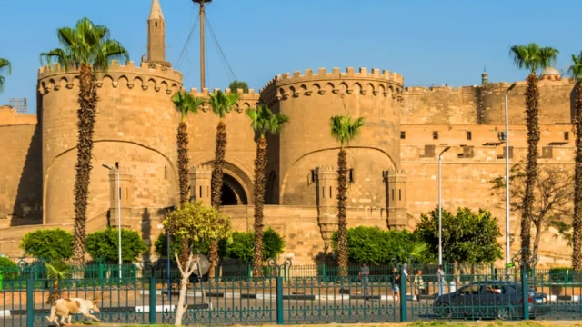 Cittadella di Saladino
