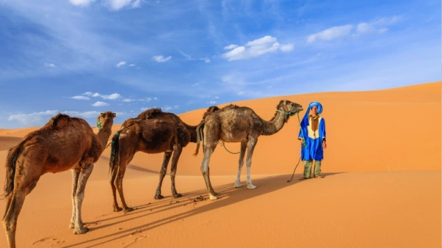 Clima in Marocco | Temperature in Marocco