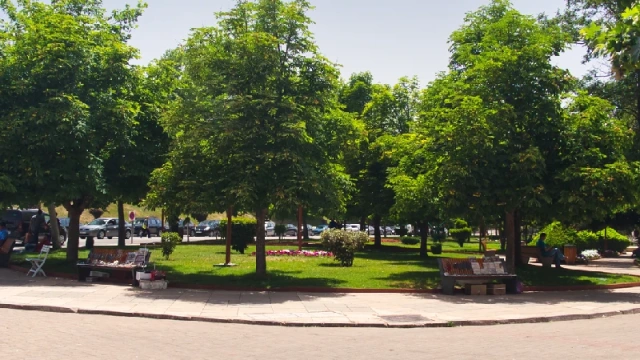 Ifrane: La Città Segreta del Marocco Che Ti Lascerà Senza Parole