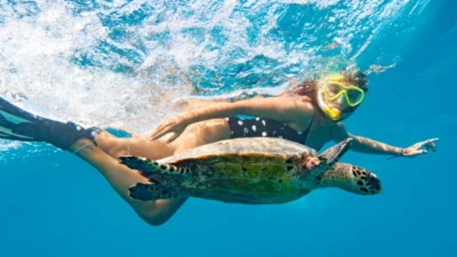 Barriera Corallina Egitto