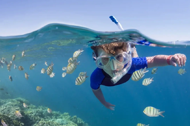bambino fa snorkeling, cosa fare a marsa alam