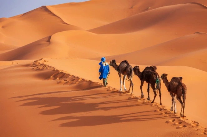 Merzouga