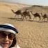 Desierto de Egipto