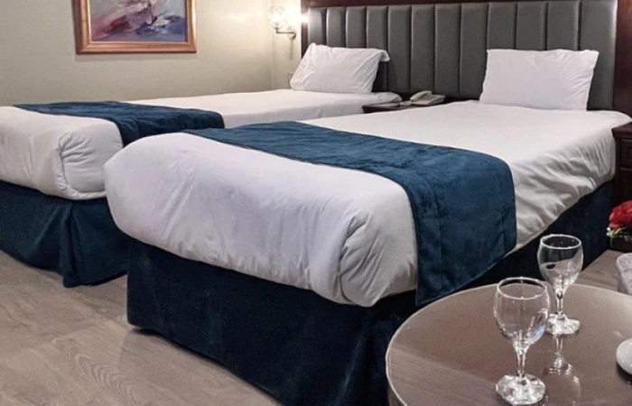 Crucero Nilo Hapi V - Templos Faraónicos Todo Incluido 5